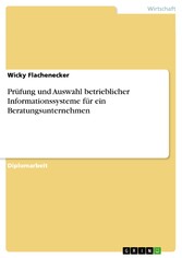 Prüfung und Auswahl betrieblicher Informationssysteme für ein Beratungsunternehmen