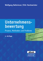 Unternehmensbewertung